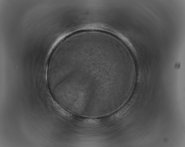 X0000090731224200708031516