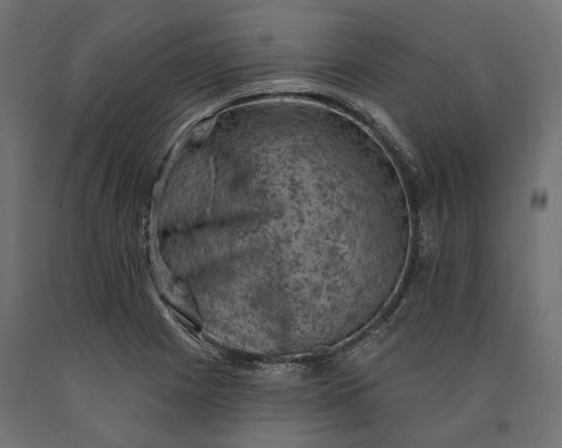 X0000090731225200708031516
