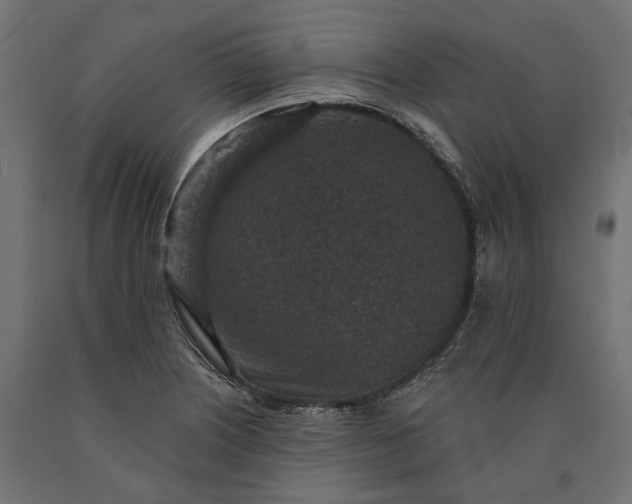 X0000090731226200708031516