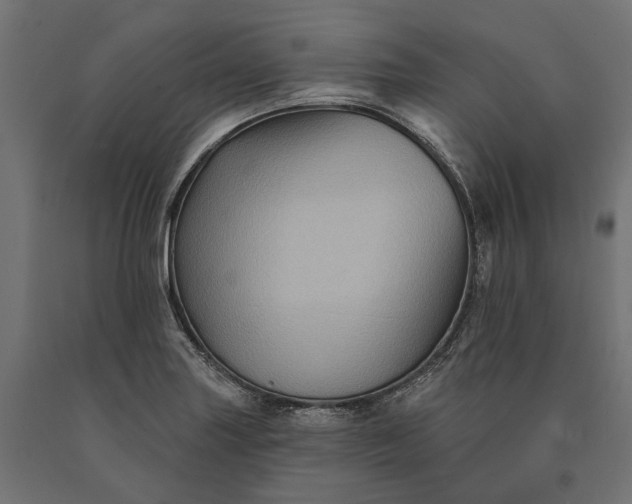 X0000090731227200708031516