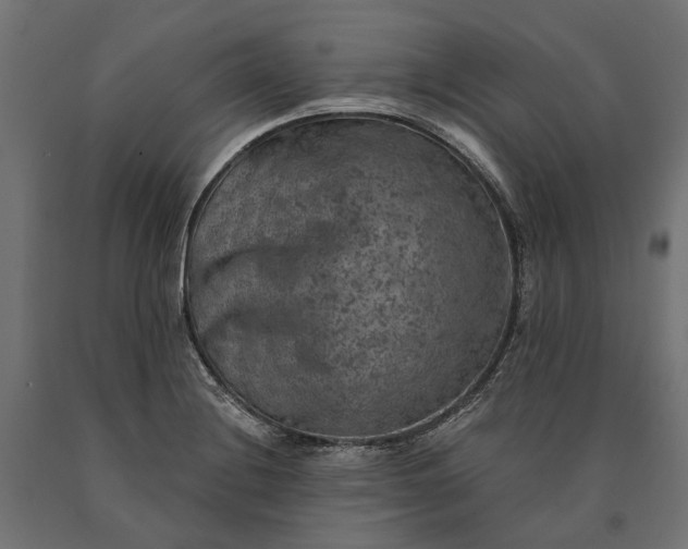 X0000090731228200708031516