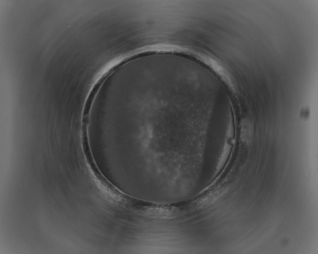 X0000090731229200708031516