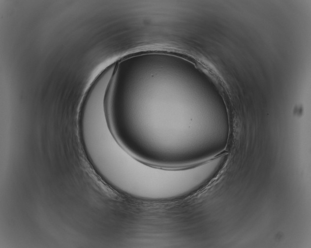 X0000090731230200708031516