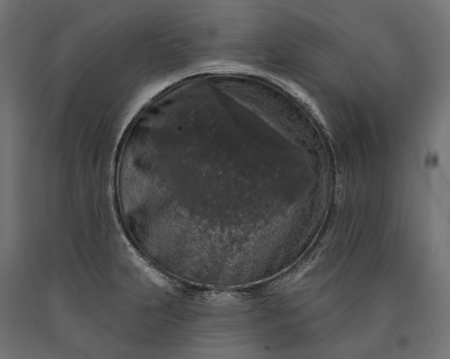 X0000090731231200708031516