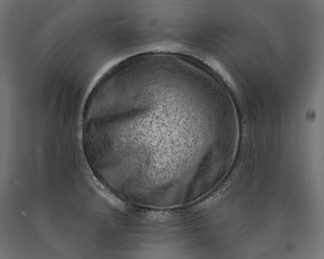 X0000090731232200708031516
