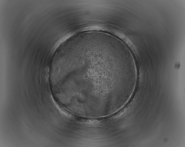X0000090731233200708031516
