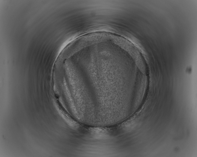 X0000090731234200708031516