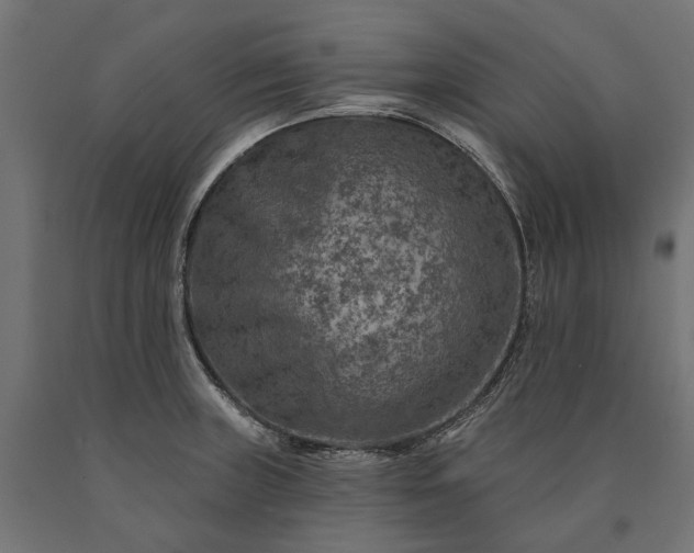X0000090731235200708031516
