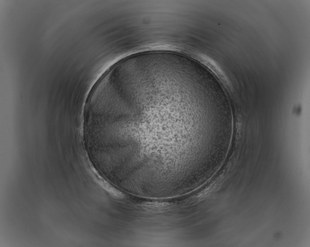 X0000090731236200708031516