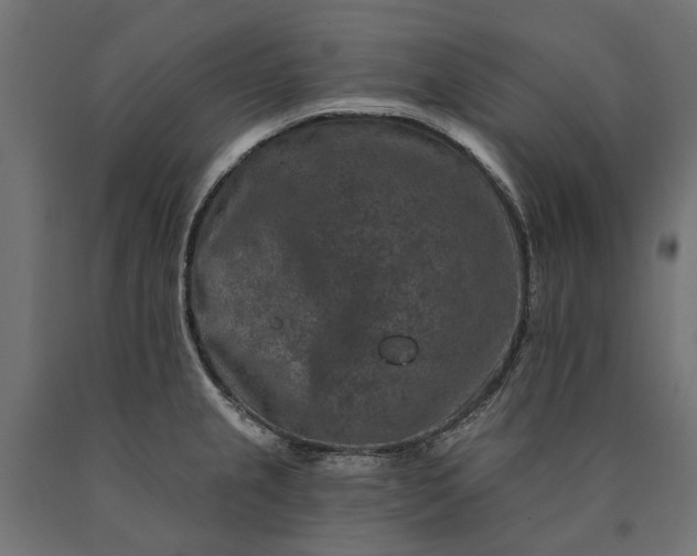 X0000090731237200708031516