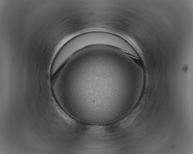 X0000090731238200708031516