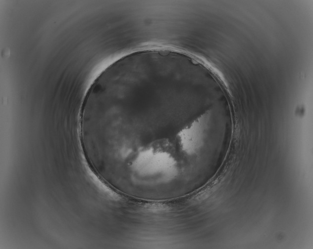 X0000090731239200708031516