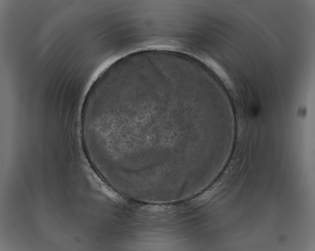 X0000090731240200708031516