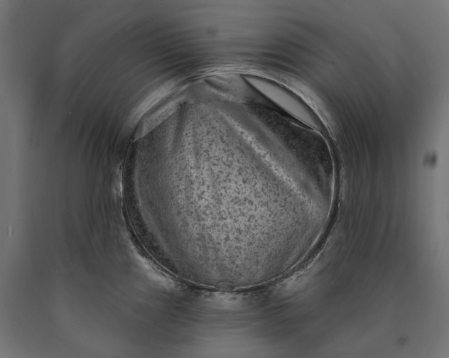 X0000090731241200708031516