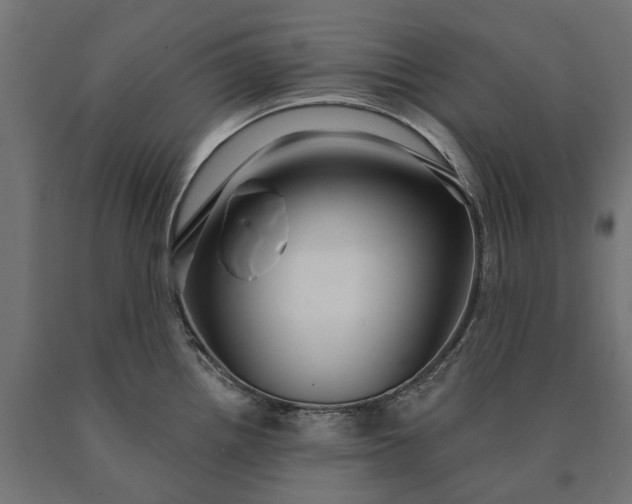 X0000090731242200708031516