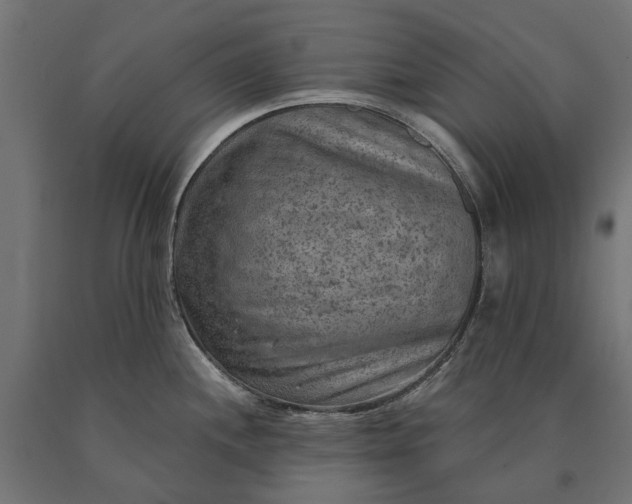 X0000090731244200708031516