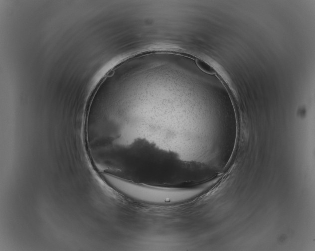 X0000090731245200708031516
