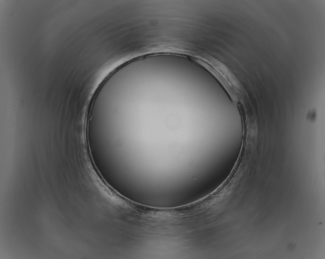 X0000090731246200708031516