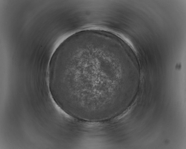 X0000090731247200708031516