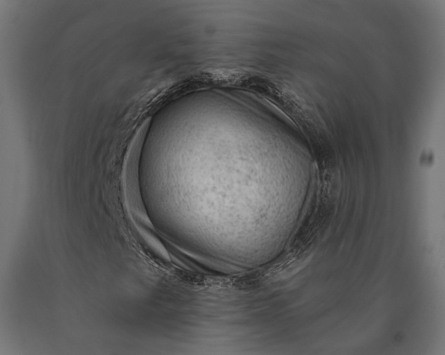 X0000090731249200708031516