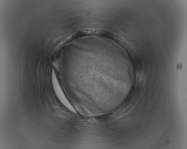 X0000090731250200708031516