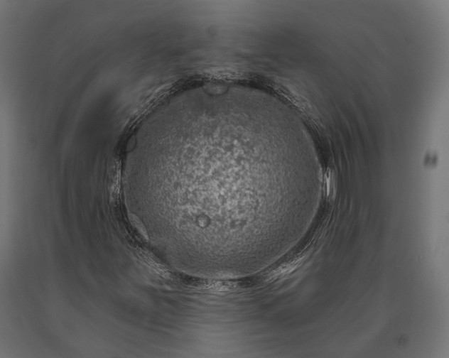 X0000090731251200708031516