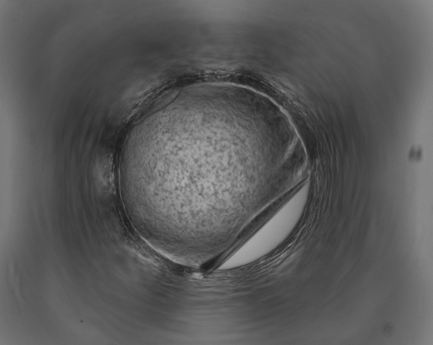 X0000090731252200708031516