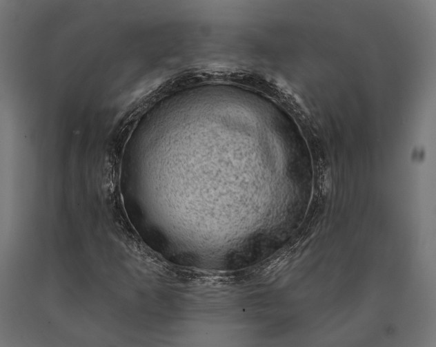 X0000090731253200708031516