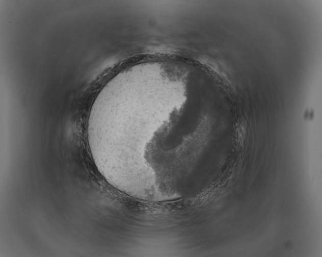 X0000090731254200708031516