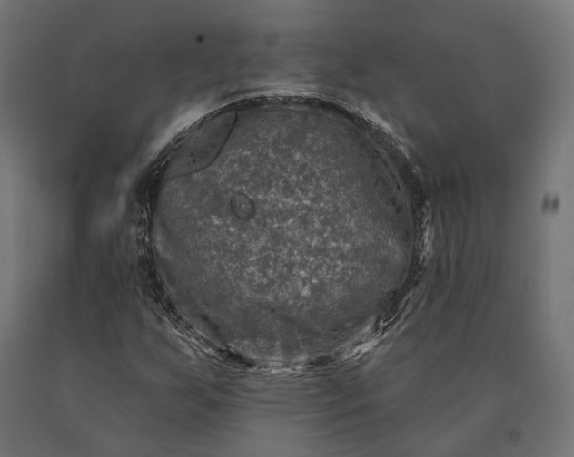 X0000090731255200708031516