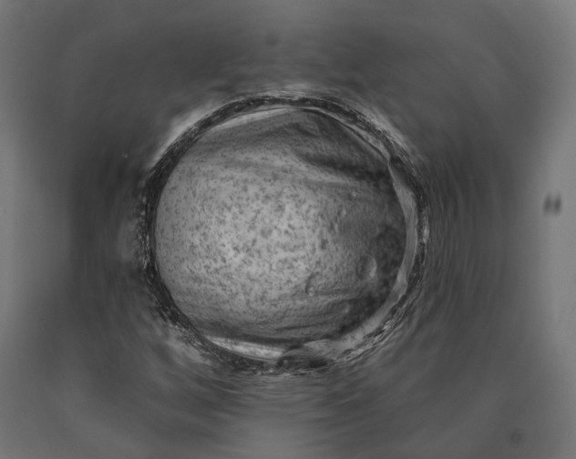 X0000090731256200708031516