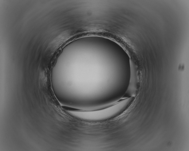 X0000090731257200708031516