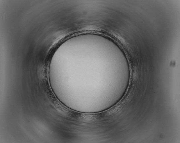 X0000090731258200708031516