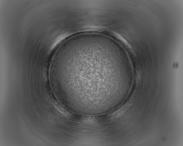 X0000090731259200708031516