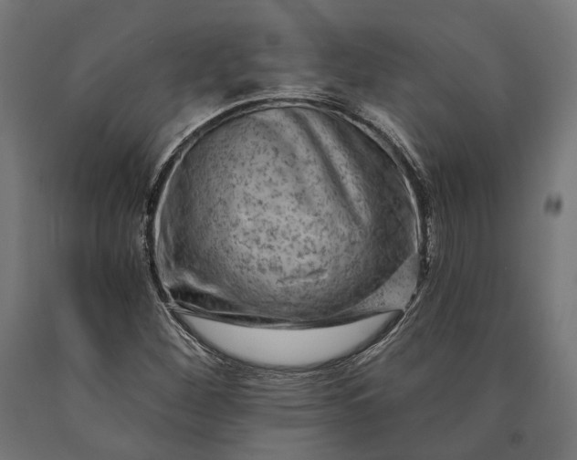 X0000090731260200708031516