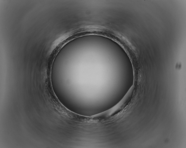 X0000090731261200708031515