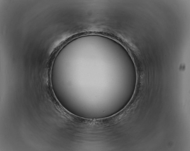 X0000090731262200708031515