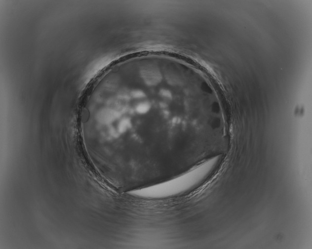 X0000090731263200708031515