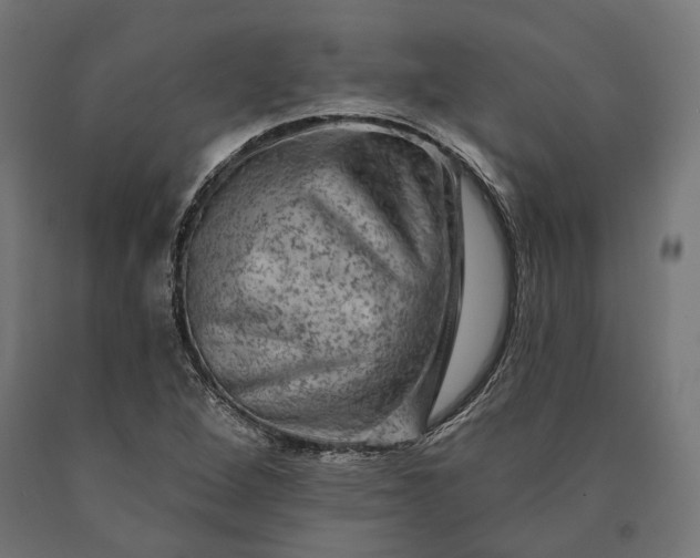 X0000090731264200708031515