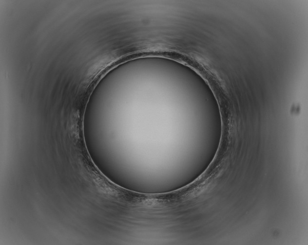X0000090731265200708031515