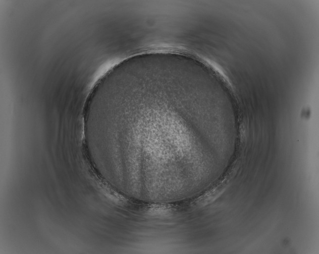 X0000090731267200708031515
