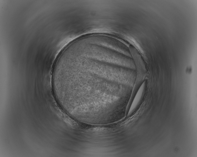 X0000090731268200708031515