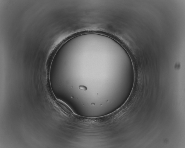 X0000090731270200708031515