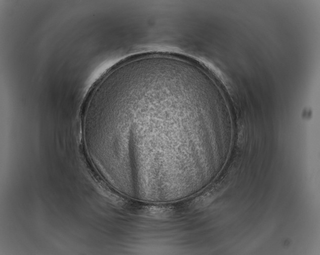 X0000090731271200708031515