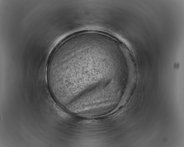 X0000090731272200708031515