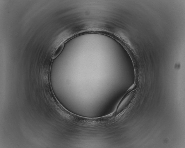 X0000090731273200708031515