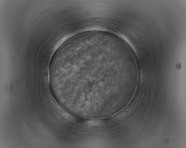 X0000090731274200708031515