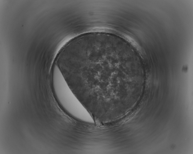 X0000090731275200708031515