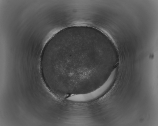 X0000090731277200708031515