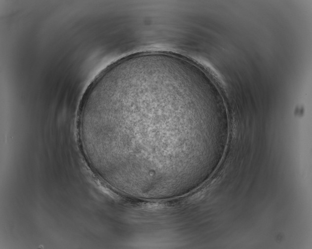X0000090731278200708031515